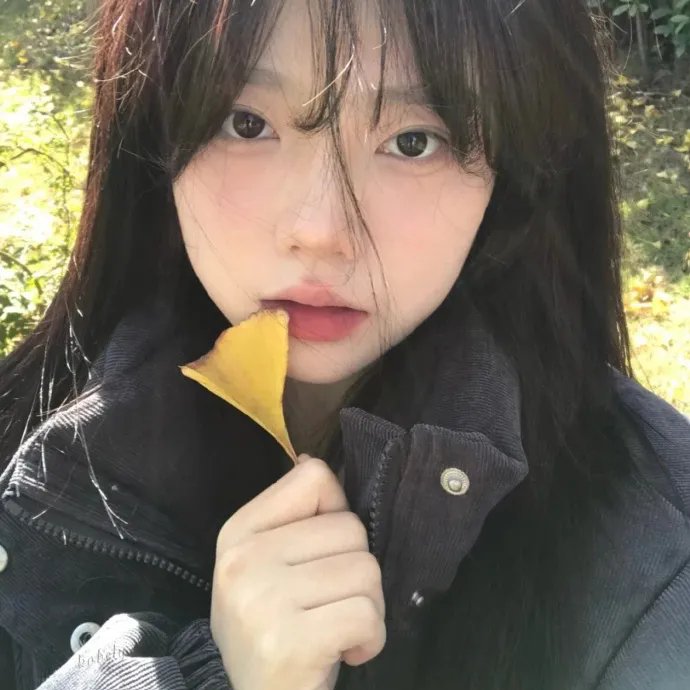医生的假日