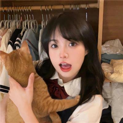 狮子护卫队第一季