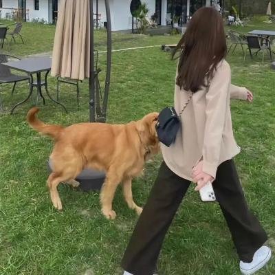 世界搜秘奇观
